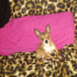 Meet your Posher, Brooke